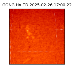 gong - 2025-02-26T17:00:22