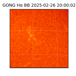 gong - 2025-02-26T20:00:02