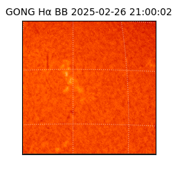 gong - 2025-02-26T21:00:02