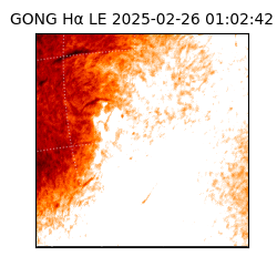 gong - 2025-02-26T01:02:42