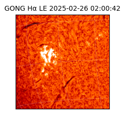 gong - 2025-02-26T02:00:42