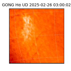 gong - 2025-02-26T03:00:02