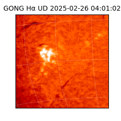 gong - 2025-02-26T04:01:02