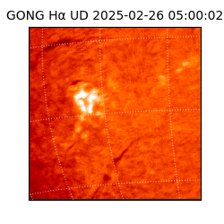 gong - 2025-02-26T05:00:02