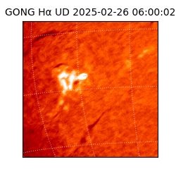 gong - 2025-02-26T06:00:02