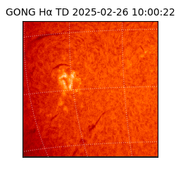 gong - 2025-02-26T10:00:22