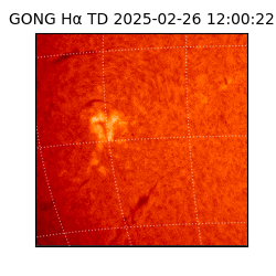 gong - 2025-02-26T12:00:22