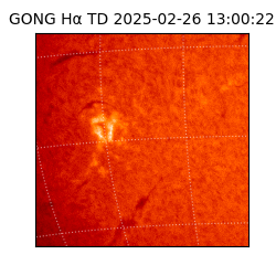 gong - 2025-02-26T13:00:22