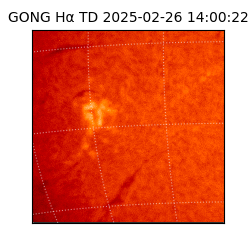 gong - 2025-02-26T14:00:22