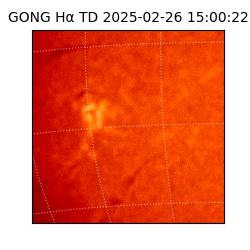 gong - 2025-02-26T15:00:22