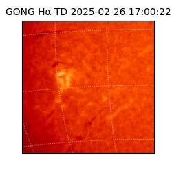 gong - 2025-02-26T17:00:22