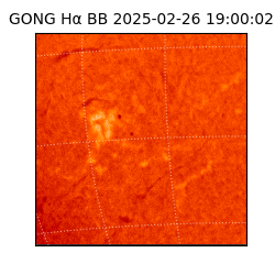 gong - 2025-02-26T19:00:02