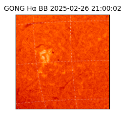 gong - 2025-02-26T21:00:02