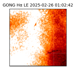 gong - 2025-02-26T01:02:42