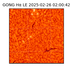 gong - 2025-02-26T02:00:42