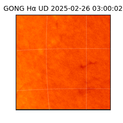 gong - 2025-02-26T03:00:02