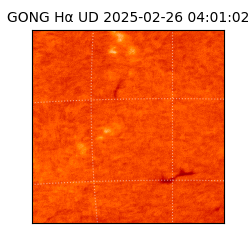 gong - 2025-02-26T04:01:02