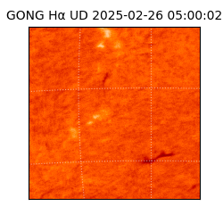 gong - 2025-02-26T05:00:02