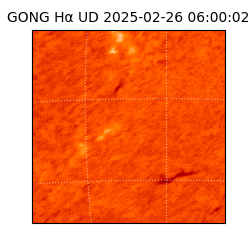 gong - 2025-02-26T06:00:02