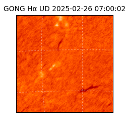 gong - 2025-02-26T07:00:02