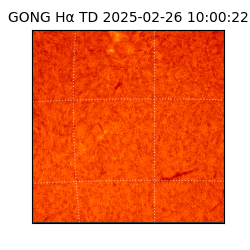 gong - 2025-02-26T10:00:22