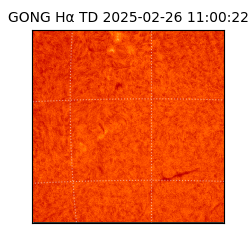 gong - 2025-02-26T11:00:22