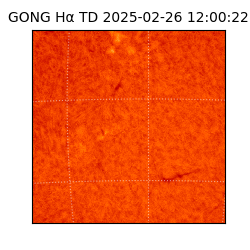 gong - 2025-02-26T12:00:22