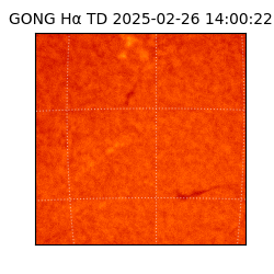 gong - 2025-02-26T14:00:22