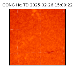 gong - 2025-02-26T15:00:22