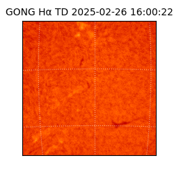 gong - 2025-02-26T16:00:22