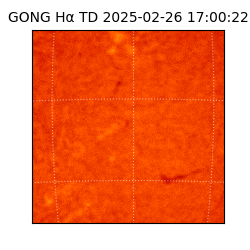 gong - 2025-02-26T17:00:22
