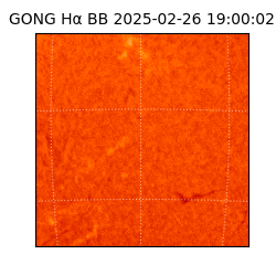 gong - 2025-02-26T19:00:02