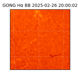 gong - 2025-02-26T20:00:02