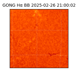 gong - 2025-02-26T21:00:02