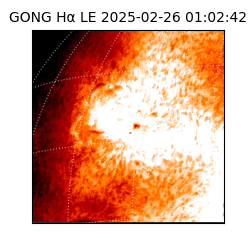 gong - 2025-02-26T01:02:42