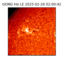 gong - 2025-02-26T02:00:42