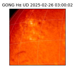 gong - 2025-02-26T03:00:02