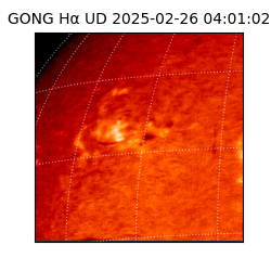 gong - 2025-02-26T04:01:02