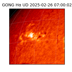 gong - 2025-02-26T07:00:02