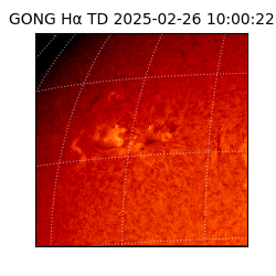 gong - 2025-02-26T10:00:22