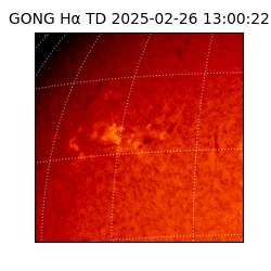 gong - 2025-02-26T13:00:22