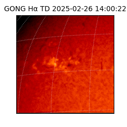 gong - 2025-02-26T14:00:22