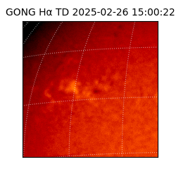 gong - 2025-02-26T15:00:22