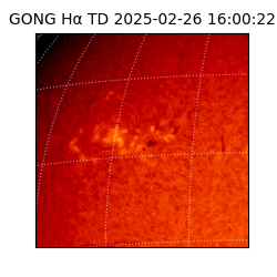 gong - 2025-02-26T16:00:22