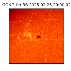 gong - 2025-02-26T20:00:02