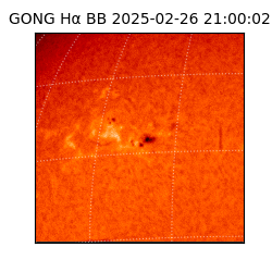 gong - 2025-02-26T21:00:02