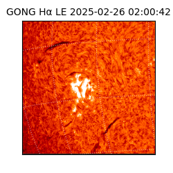 gong - 2025-02-26T02:00:42