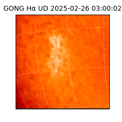 gong - 2025-02-26T03:00:02