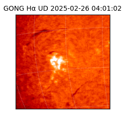gong - 2025-02-26T04:01:02