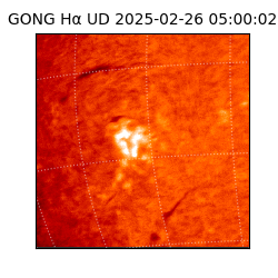 gong - 2025-02-26T05:00:02